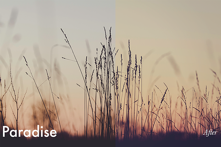 Paradise - Photoshop Action