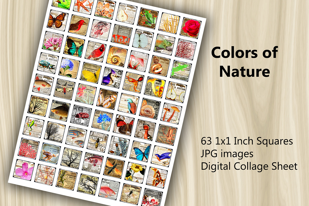 Collage Sheet - Colors of Nature, a Print Template by Kseniya-Omega (Photo 2 of 3)