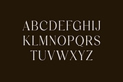 Discographica Classic Serif Font, a Serif Font by UICreative (Thumbnail 5 of 13)