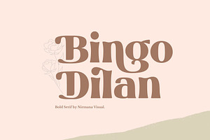 Bingo Dilan - Modern Display Font