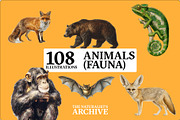 The Naturalist's Archive, an Object Graphic by Jacober Design (Thumbnail 3 of 5)