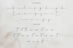 Bretya - Signature Script Font