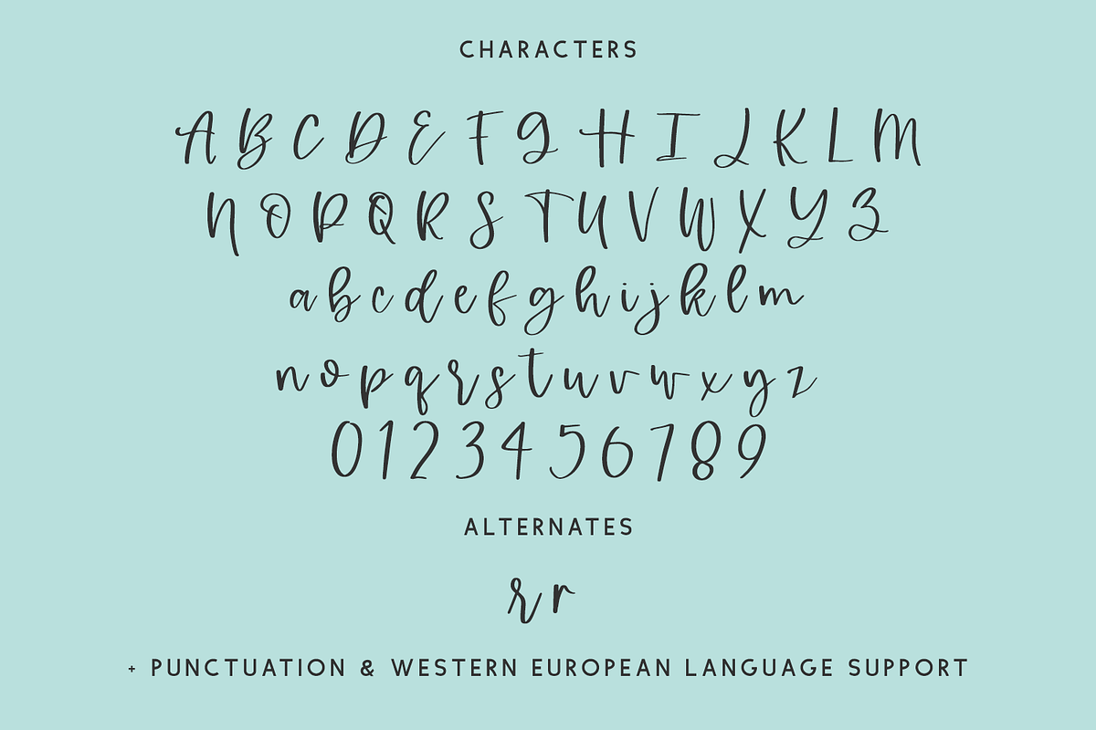 Hypnotic Script, a Handwritten Font by Beck McCormick (Photo 10 of 10)