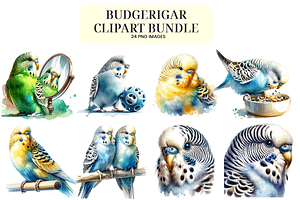 Watercolor Budgie Clipart