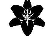 Decorative Floral Mandala Rose Butte, an Object Illustration by Designer_Momina (Thumbnail 17 of 21)