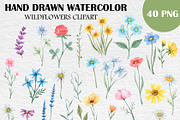 Wildflower Watercolor Clipart PNG, a Decorative Illustration by PatternPalette (Thumbnail 2 of 4)