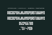 Hero Synergy, a Serif Font by alon kelakon (Thumbnail 4 of 5)