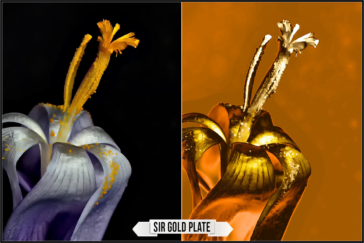 Solarized IR Inspired profiles LUTs, a Plug-in Add-On by Raztrend (Photo 5 of 30)