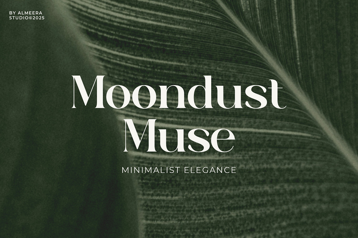 Auralux - Modern Serif Font, a Serif Font by Almeera Std (Photo 2 of 5)