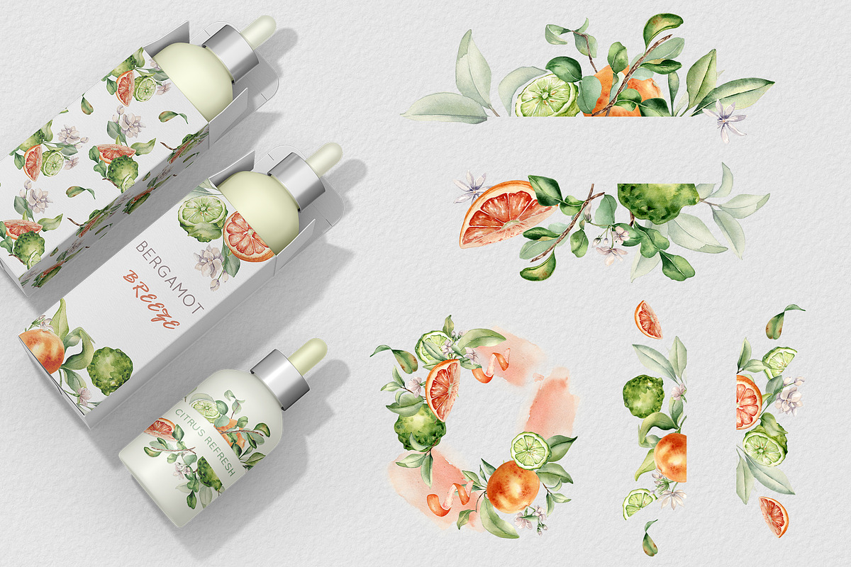 Citrus fruits and flower watercolor, a Decorative Illustration by Kate Lanbina (Photo 9 of 20)