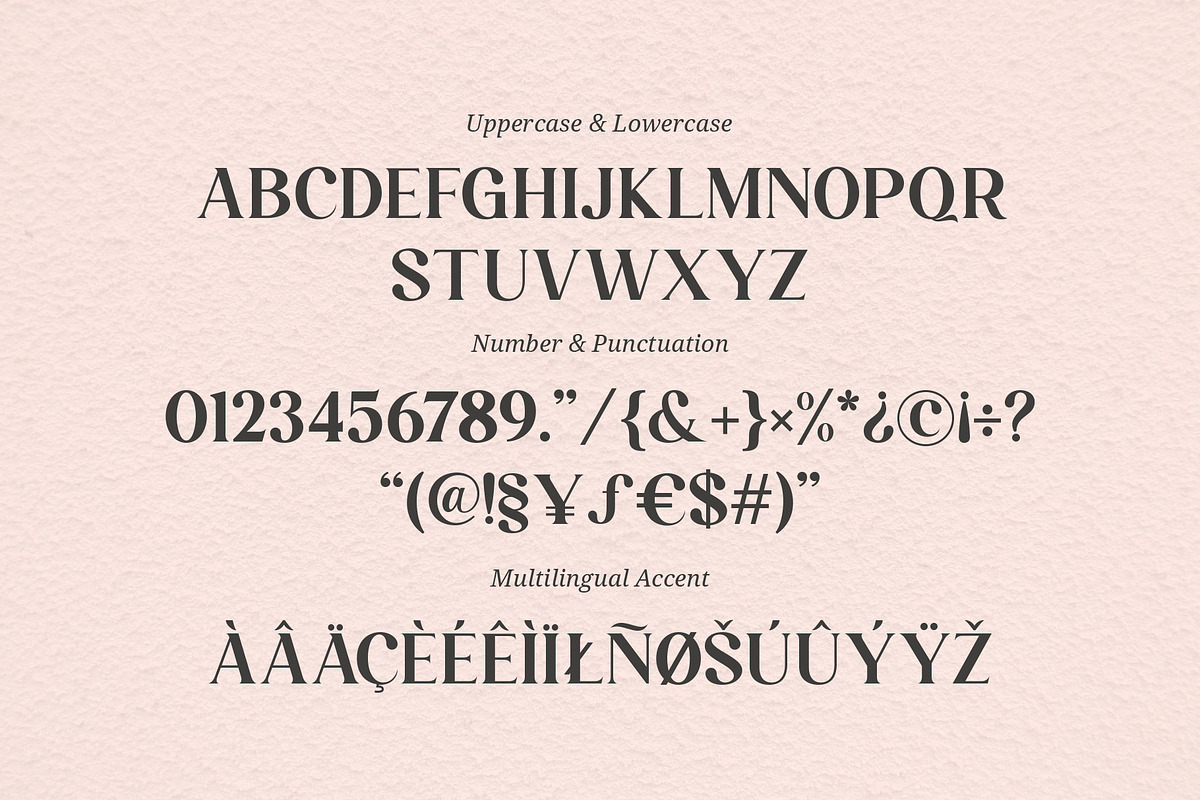 Larissa - Ligature Typeface, a Serif Font by Graphicxell (Photo 6 of 10)