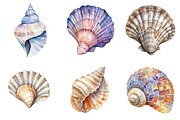 Watercolor Seashell Clipart Bundle, an Illustration by Pixels.Craft (Thumbnail 4 of 7)