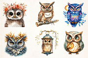 Boho Owl Sublimation Clipart, an Illustration by Dream Creation (Thumbnail 5 of 7)