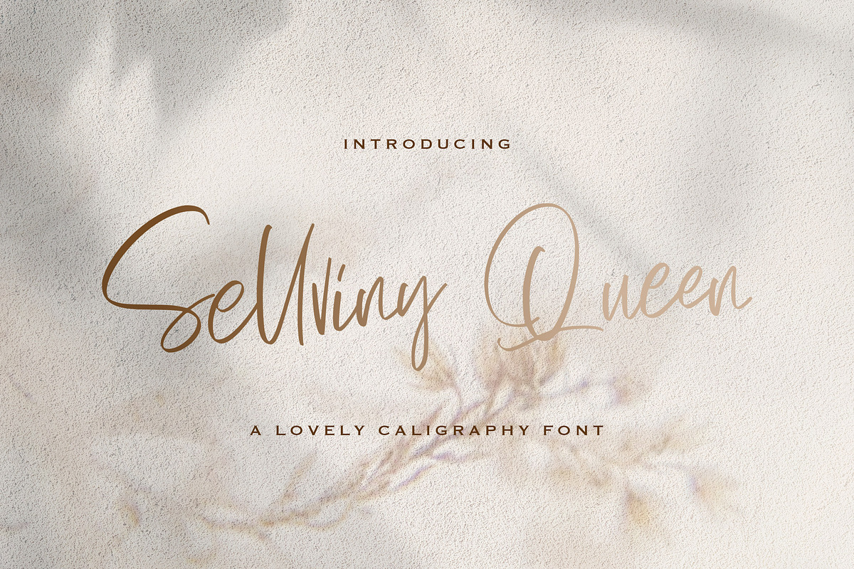 Sellviny Queen - Handwritten Font, a Script Font by StringLabs (Photo 1 of 10)