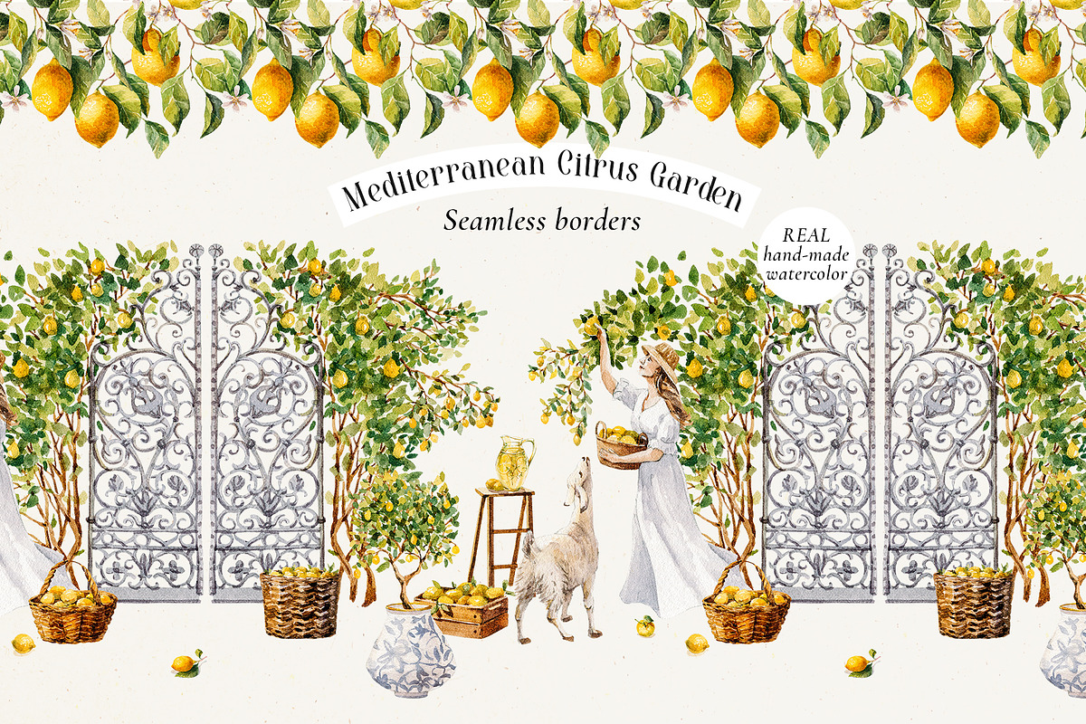 Mediterranean Citrus Garden clipart, a Decorative Illustration by Pamyatka Shop (Photo 9 of 14)