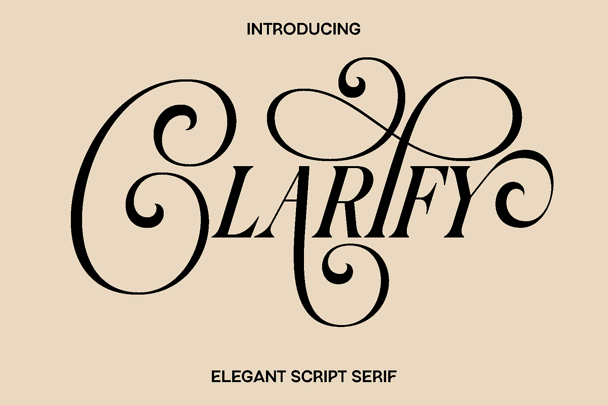 Clarify - Elegant Script Serif, a Script Font by Luna Shop (Photo 1 of 8)
