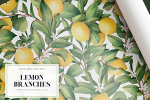 Lemon Branches. Watercolor PNG