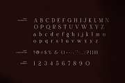 Moraska Elegant Serif Font, a Serif Font by Graphicxell (Thumbnail 7 of 8)