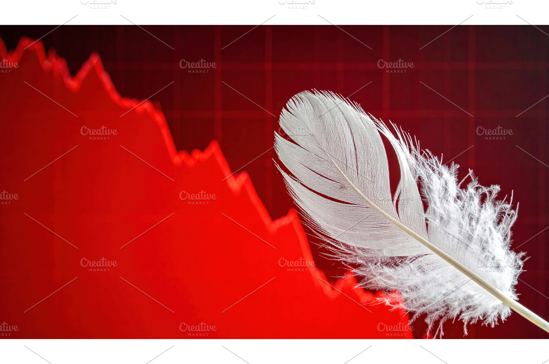 A white feather in front of a red, a Business Photo by Igor Tichonow