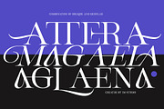 Magerla Serif, a Serif Font by IM Studio (Thumbnail 2 of 12)