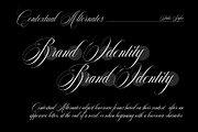 Reichamerina font family, a Serif Font by Ryul Davidson (Thumbnail 21 of 27)