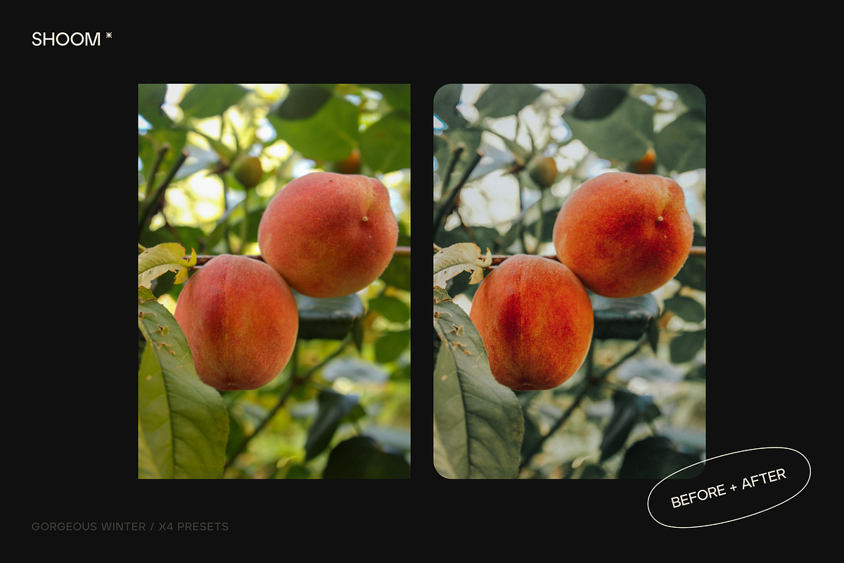 IPANEMA GIRL / SUNNY LIGHTROOM PAIR, a Preset Add-On by SHOOM HOUSE (Photo 9 of 10)