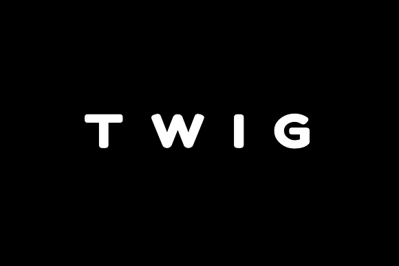 TWIG - Display / Headline Typeface preview 8