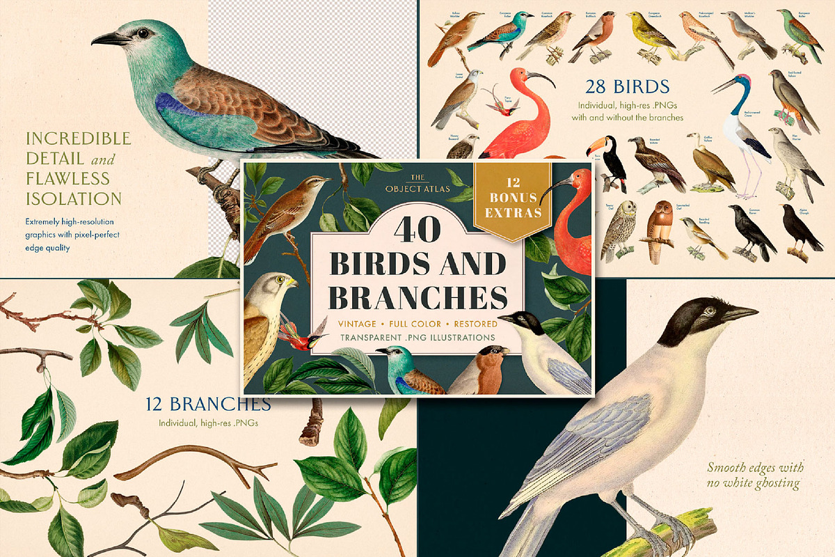 Vintage Bundle – 60% Off! – 21 Packs, an Object Graphic by The Object Atlas (Photo 7 of 26)
