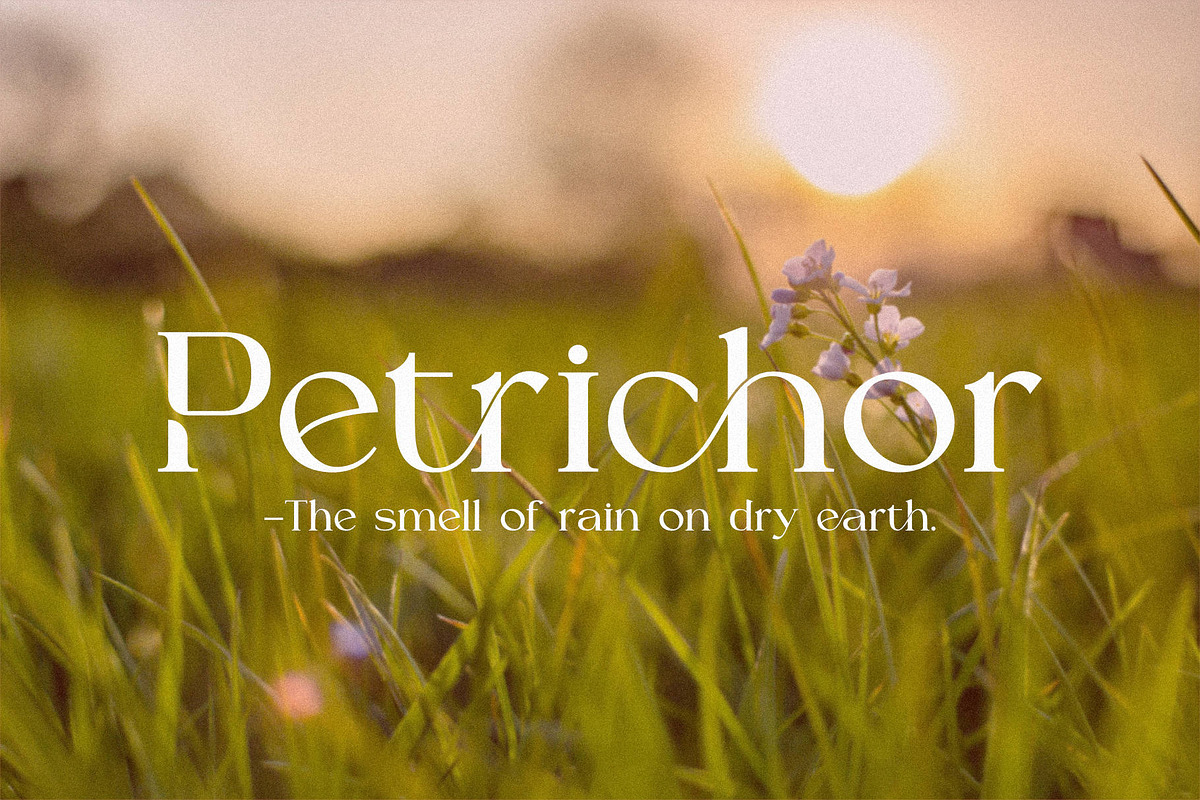 Scastea | A Modern and Elegant Font, a Serif Font by Andrimada Creative (Photo 9 of 12)