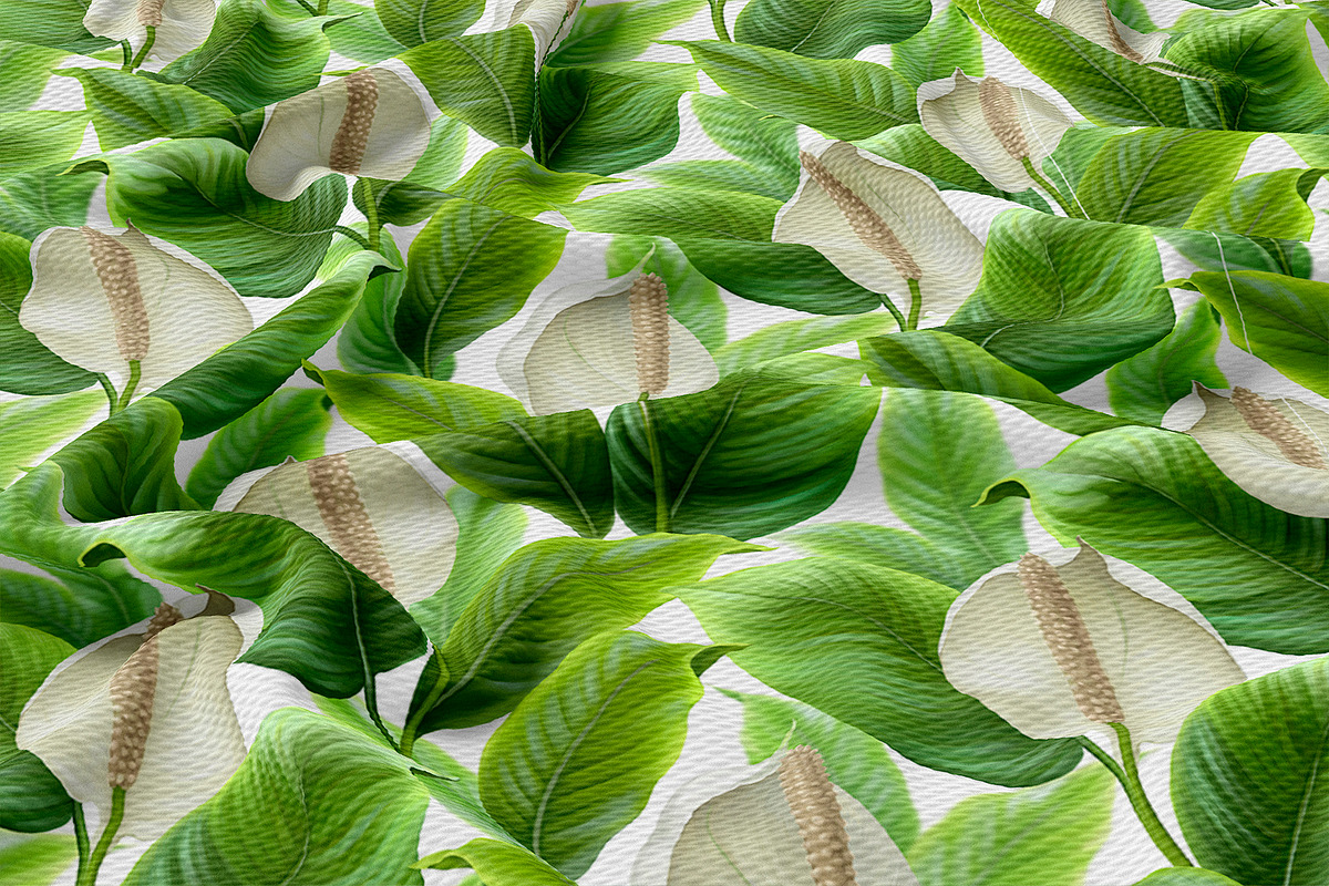 Anthurium flowers, a Pattern Graphic by Sundra (Photo 8 of 15)