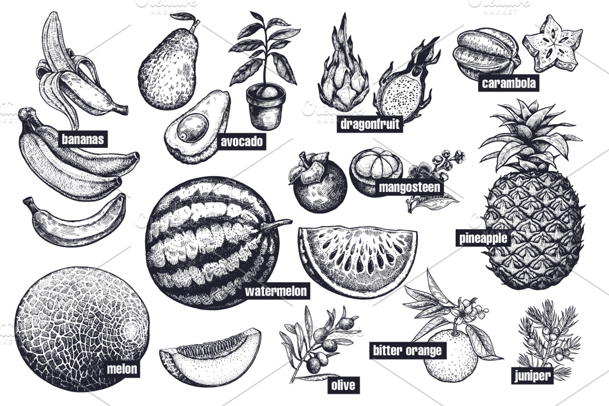 Fruits and berries. Big set., an Object Graphic by MarinaVorontsova (Photo 4 of 8)