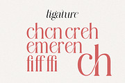 Modern Chic Refined – Elegant Serif, a Serif Font by MaxArt Foundry (Thumbnail 17 of 20)