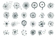 Set of dandelions, a Background Graphic by Artha Design Studio (Thumbnail 2 of 2)