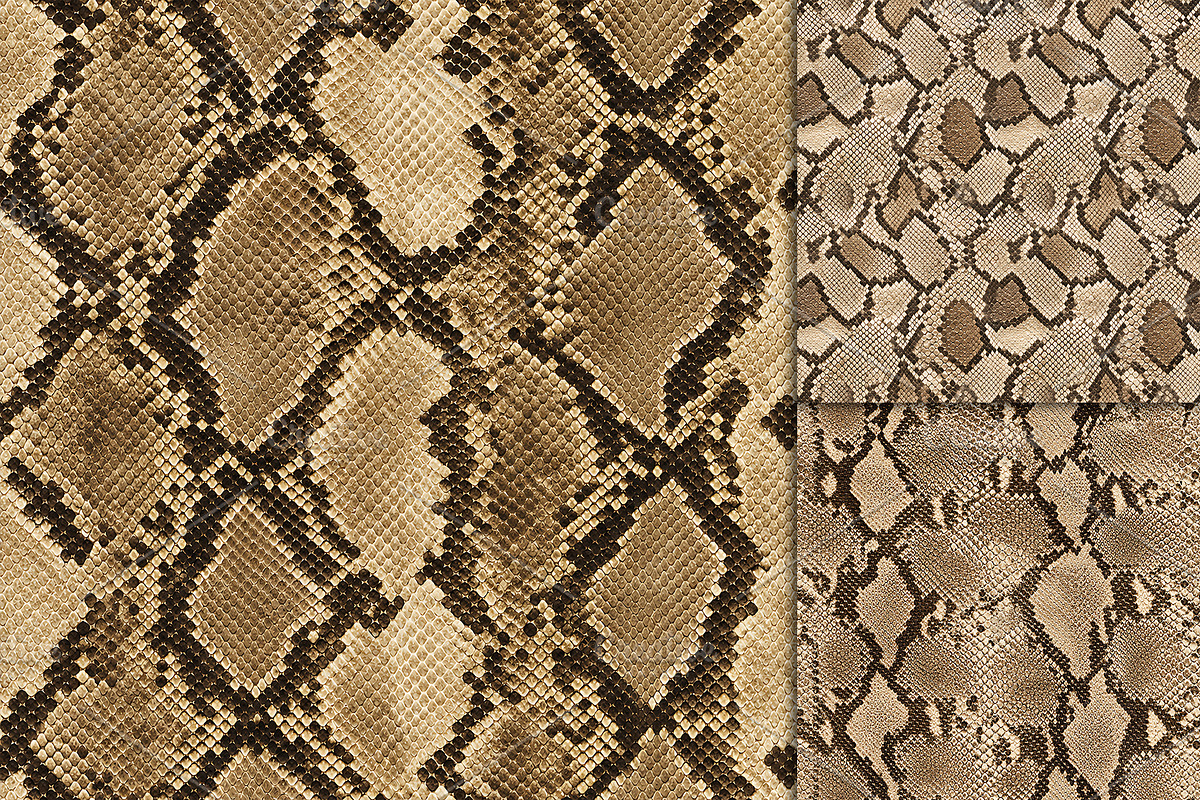 Realistic Python Skin Pattern, a Pattern Graphic by Artonix (Photo 3 of 3)