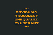 Nakara Serif | Modern Seriface, a Serif Font by Kreuk Studio (Thumbnail 5 of 8)