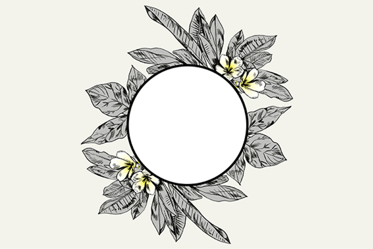 TROPIC set 2, a Decorative Illustration by Tanya Akhmett (Photo 10 of 10)