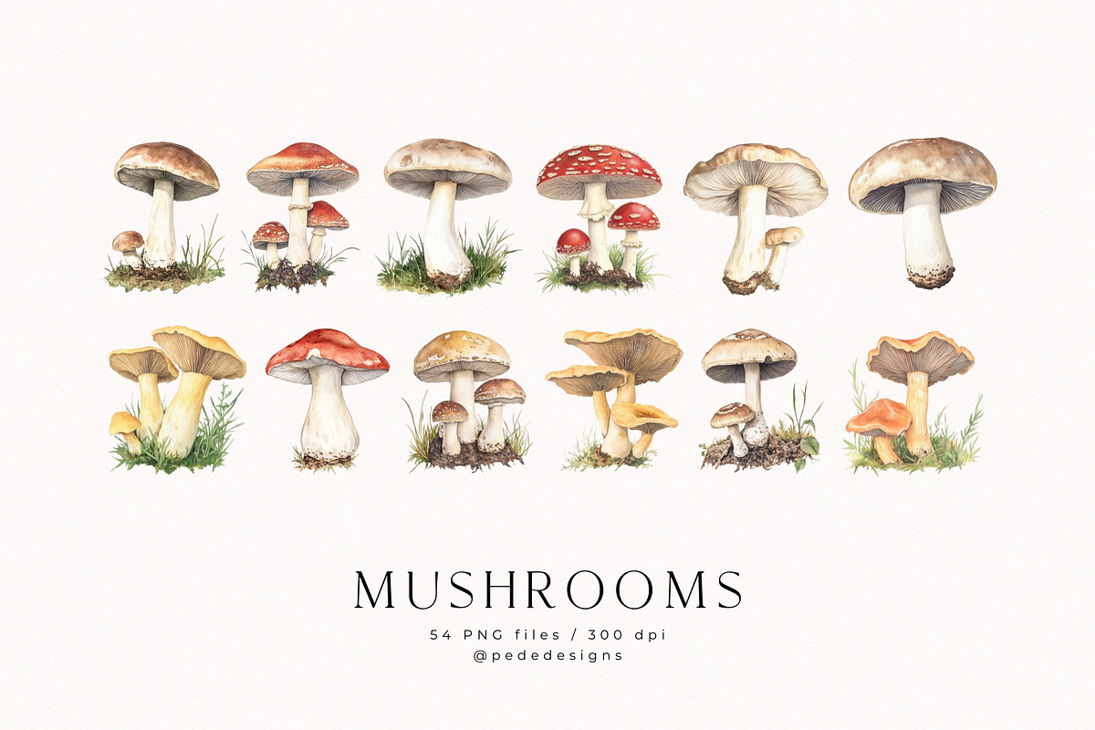 Watercolor Mushrooms, a Food Illustration by PeDe Designs (Photo 5 of 6)
