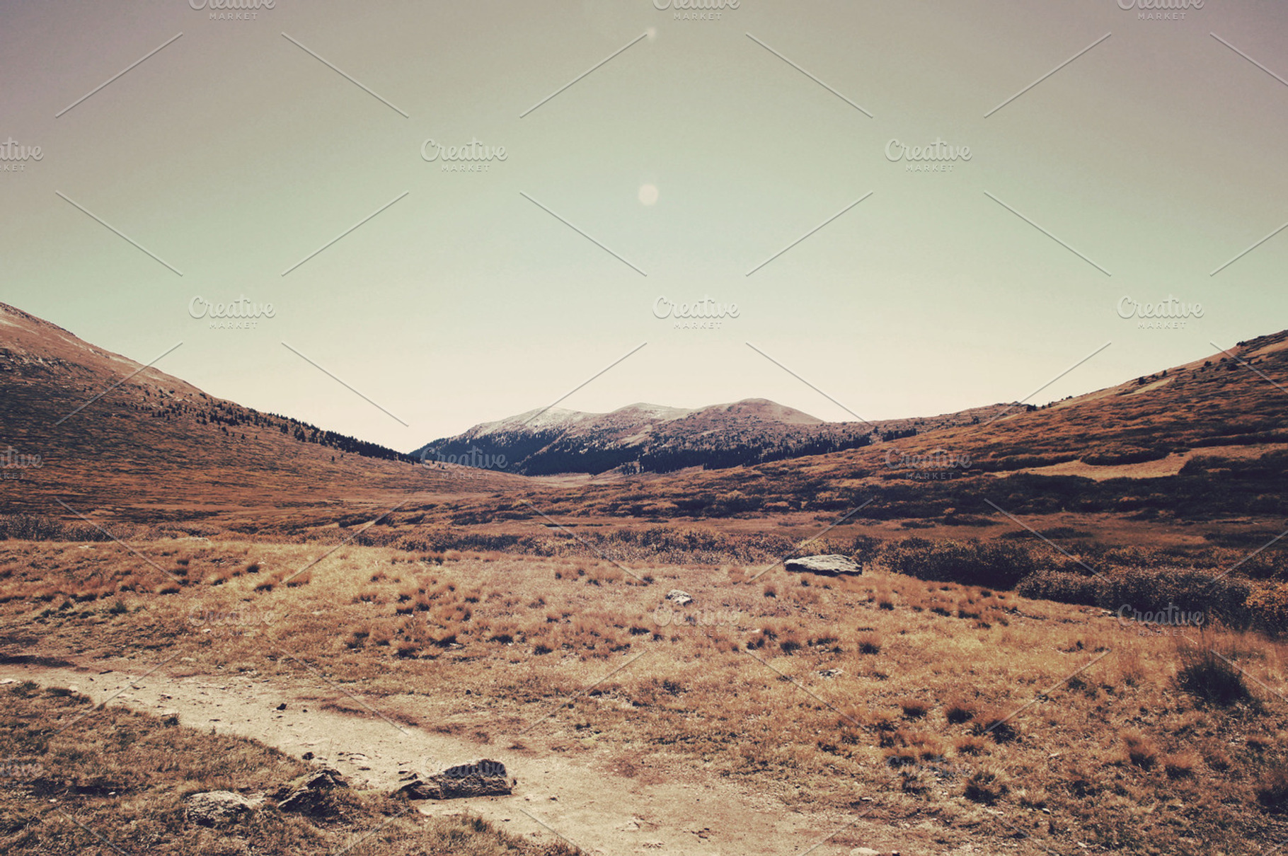 Lone Mountain Trail
