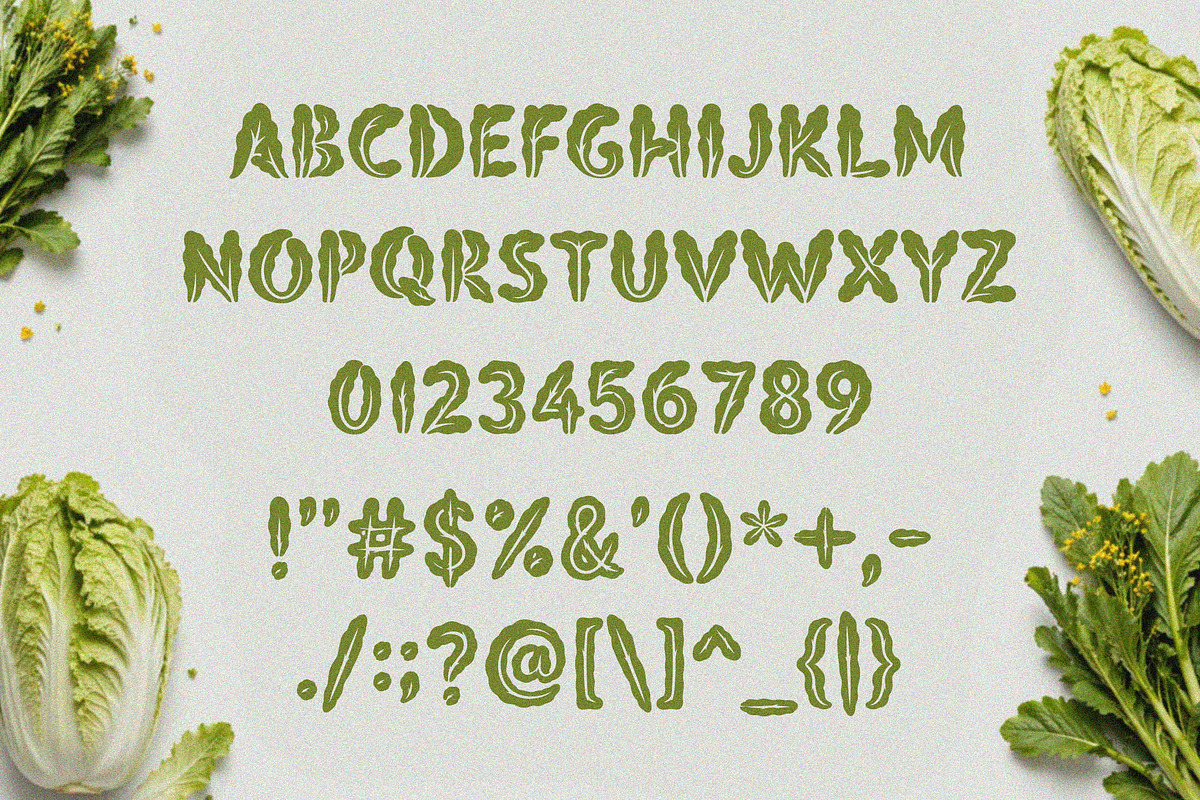 Sawira – Organic Display Font, a Handwritten Font by NTC Graphic (Photo 8 of 9)