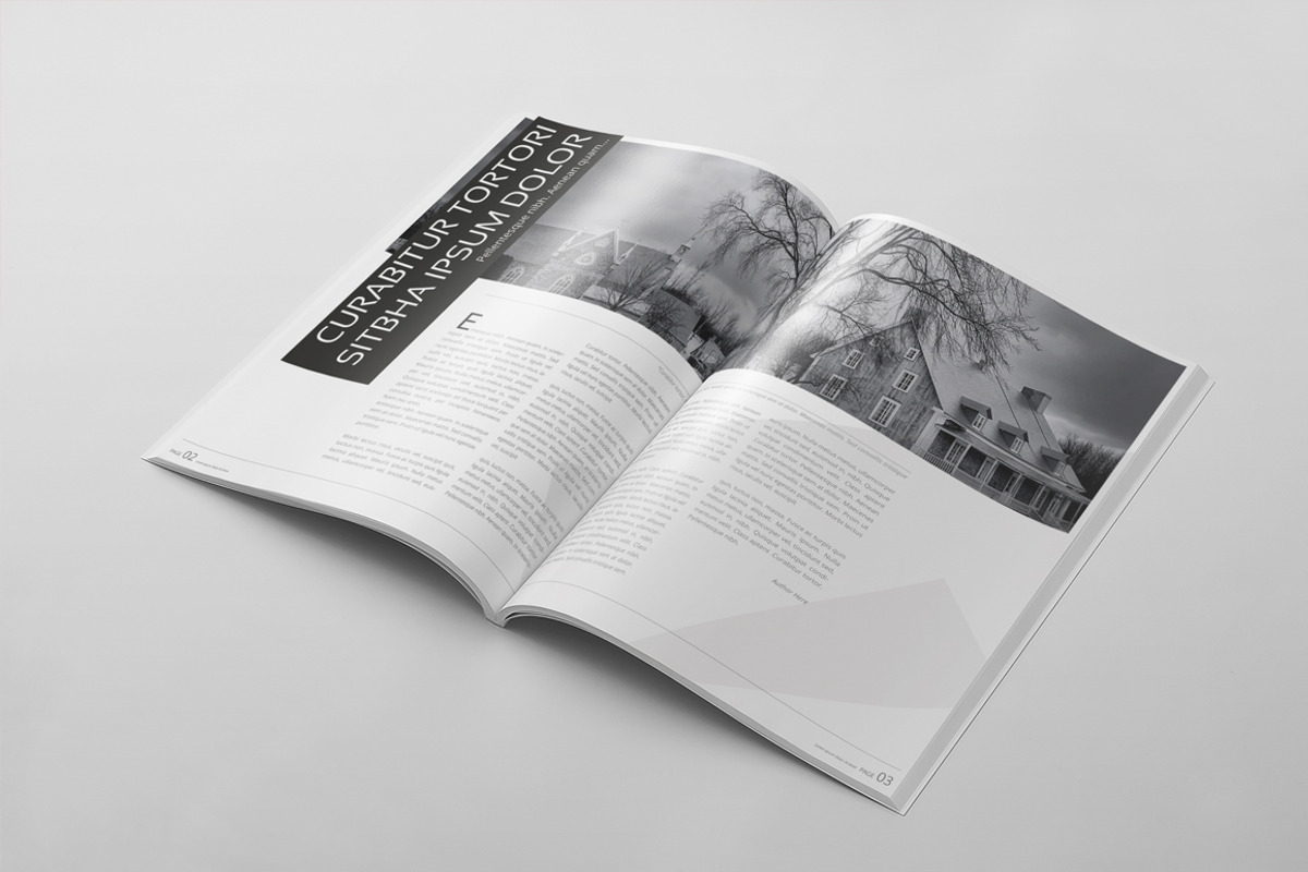 Magazine Template 46, a Magazine Template by pmvch (Photo 3 of 10)