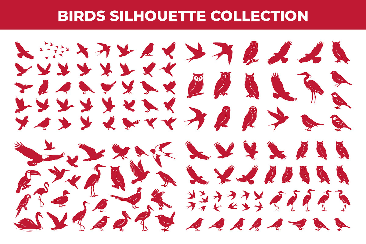 Set of Bird silhouette vector Art, an Animal Illustration by nandinigraphics (Photo 3 of 4)