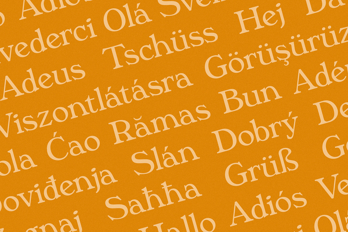 Phaedra // A Retro Serif Typeface, a Serif Font by Megs Lang (Photo 12 of 17)