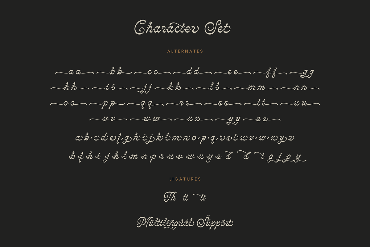 Monthera - Classy Script Font, a Font by Sronstudio (Photo 16 of 17)