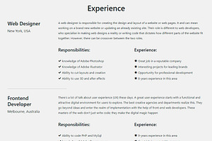 Resume CV Portfolio WordPress Theme