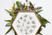 Line Nature Icons Set, an Outline Icon by Tettygreen (Thumbnail 7 of 16)