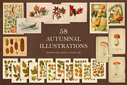 100 Vintage Autumn Ephemera, an Object Graphic by The Object Atlas (Thumbnail 4 of 10)