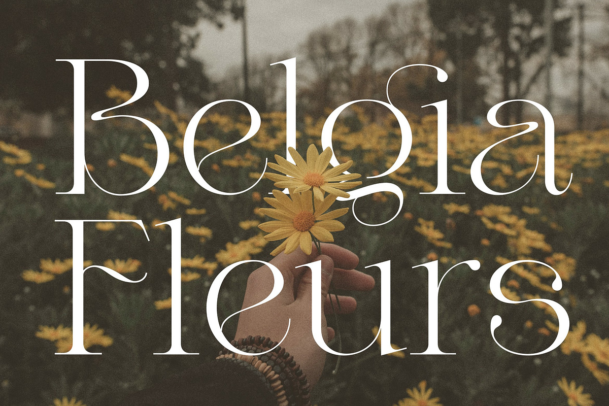 Valery Display Serif Font, a Serif Font by Letteralle Studios (Photo 8 of 10)