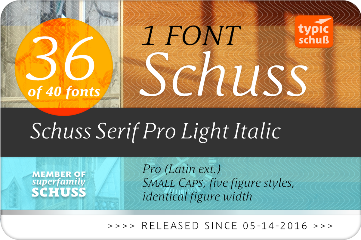 SchussSerifProLigIta No.36 (1 Font) preview 2