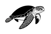 50 Sea Turtle Vector Silhouette Bund, an Illustration by jahid234 (Thumbnail 8 of 51)