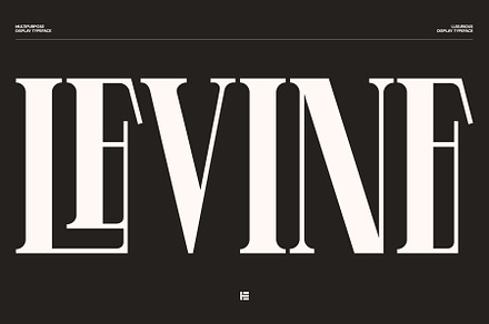 Levine, a Serif Font by Eotype Studio